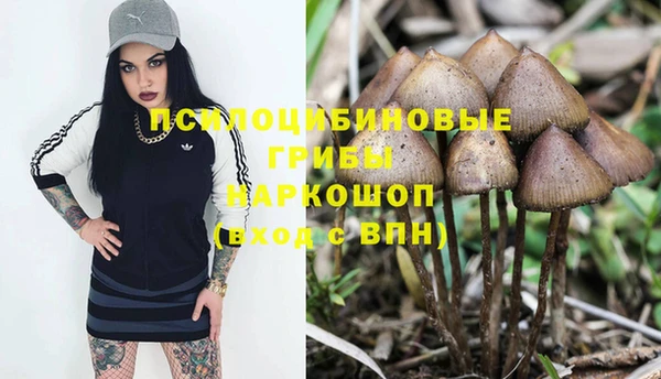 мдма Новокубанск