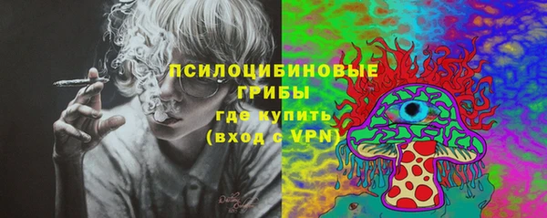 кристаллы Няндома
