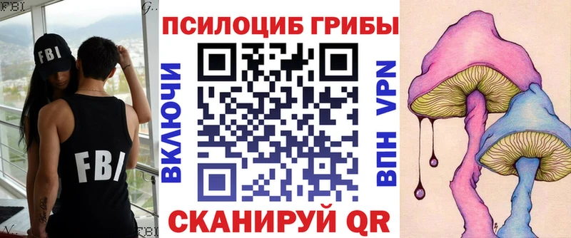 продажа наркотиков  mega как войти  Галлюциногенные грибы Cubensis  Североуральск 